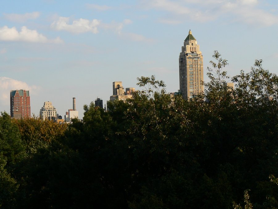Central Park: Central Park 097